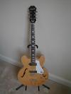 Epiphone Guitars