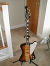 Epiphone Guitars
