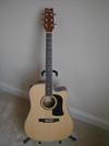 Washburn Guitars